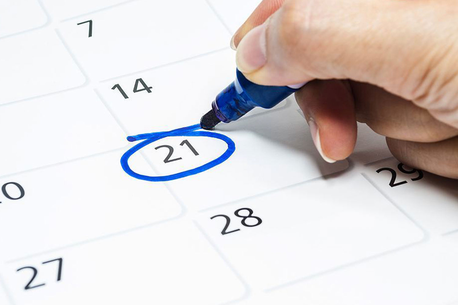 Como agendar relatórios?